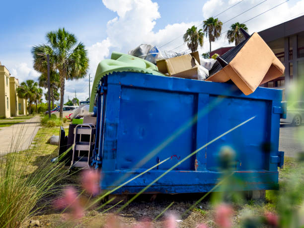 Best Basement Cleanout Services  in Lucerne Valley, CA